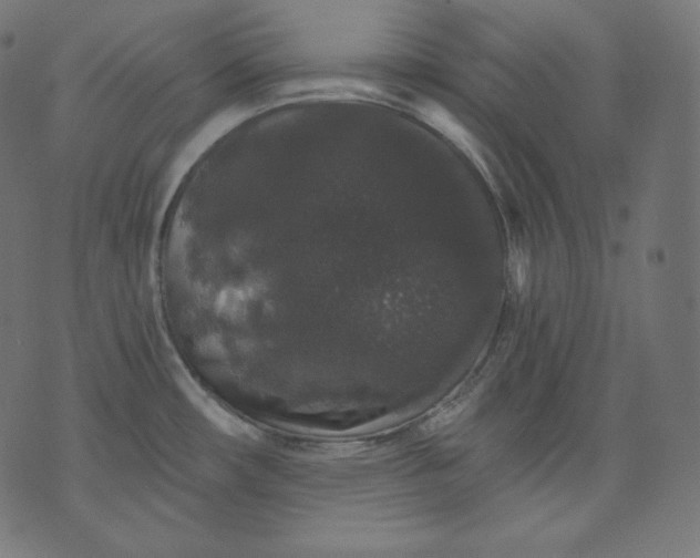 X0000070341482200606231520