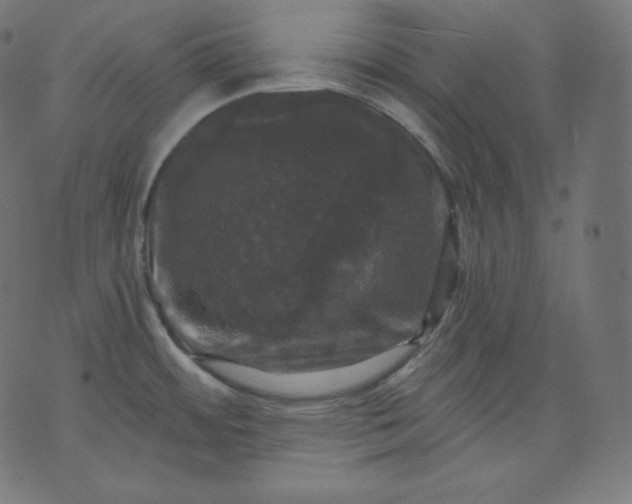 X0000070341484200606231520