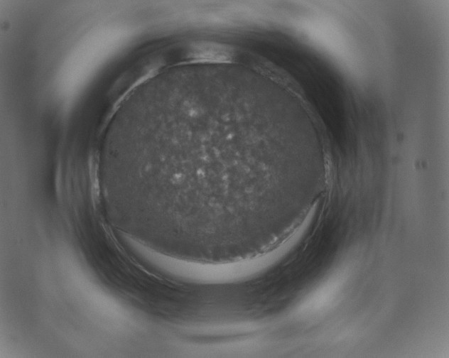 X0000070341487200606231520