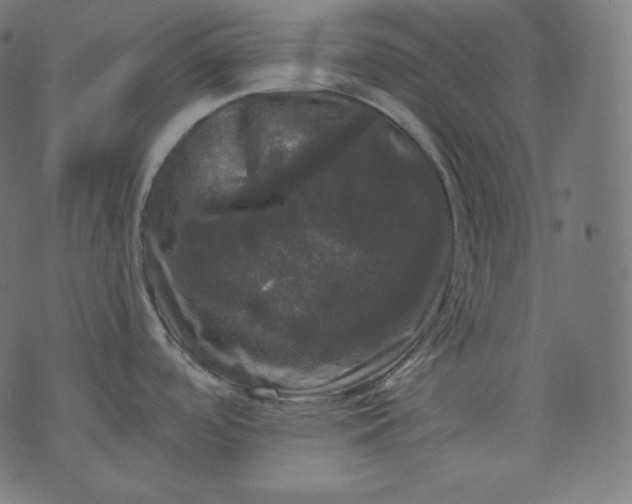 X0000070341488200606231520