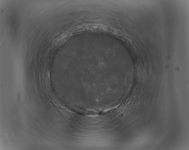 X0000070341489200606231519