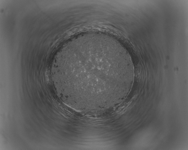 X0000070341490200606231519