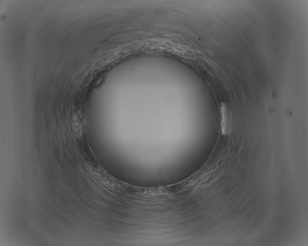 X0000070341491200606231519