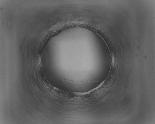 X0000070341492200606231519