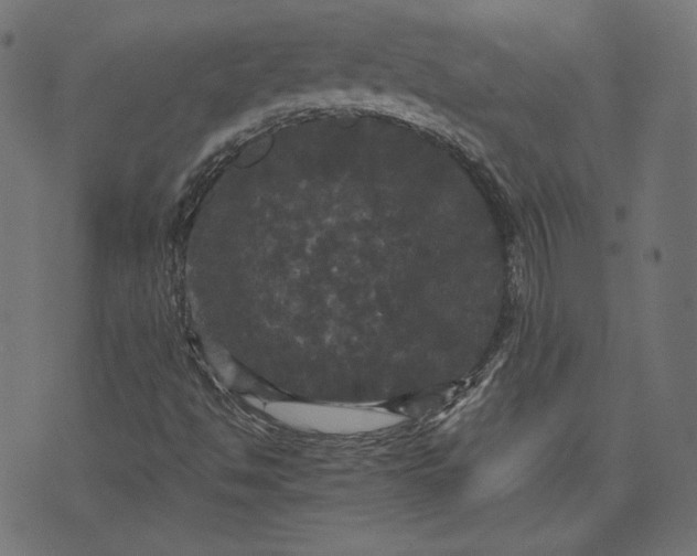 X0000070341494200606231519