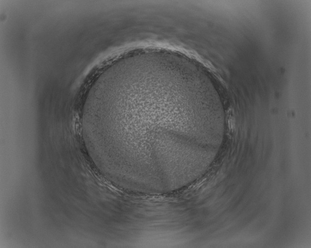 X0000070341495200606231519