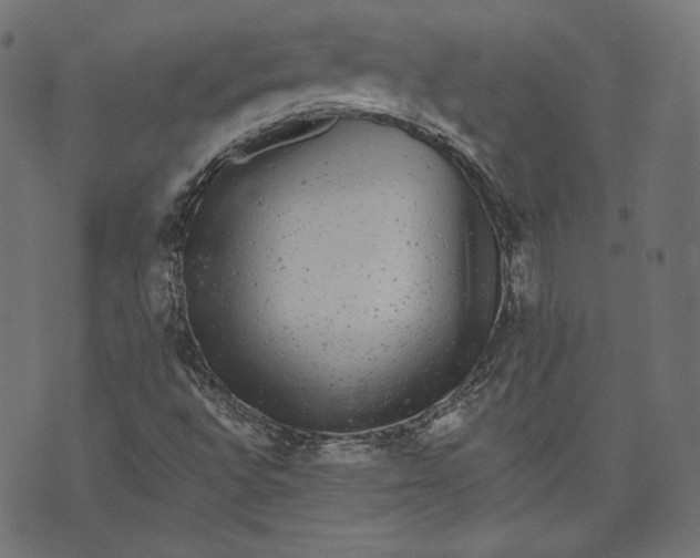 X0000070341496200606231519