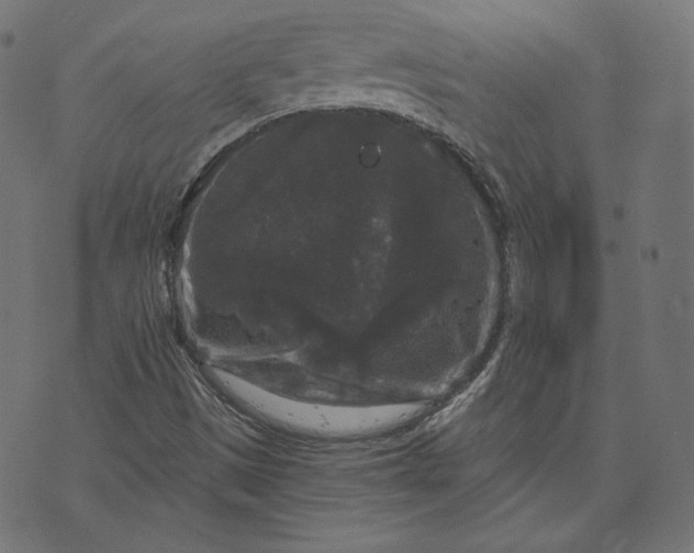 X0000070341497200606231519