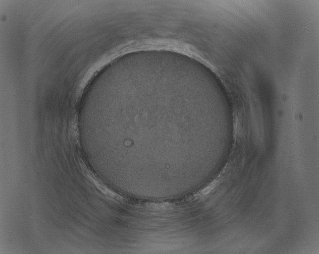 X0000070341498200606231519