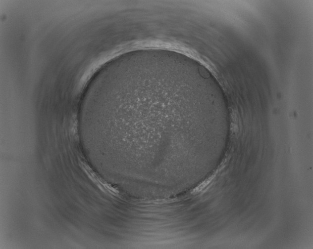 X0000070341499200606231519