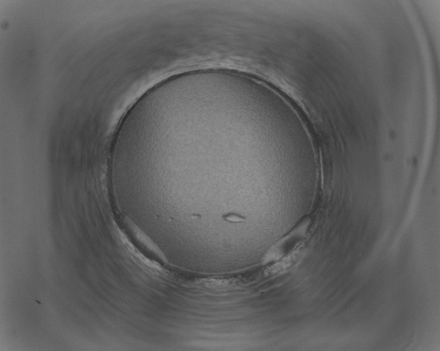 X0000070341500200606231519