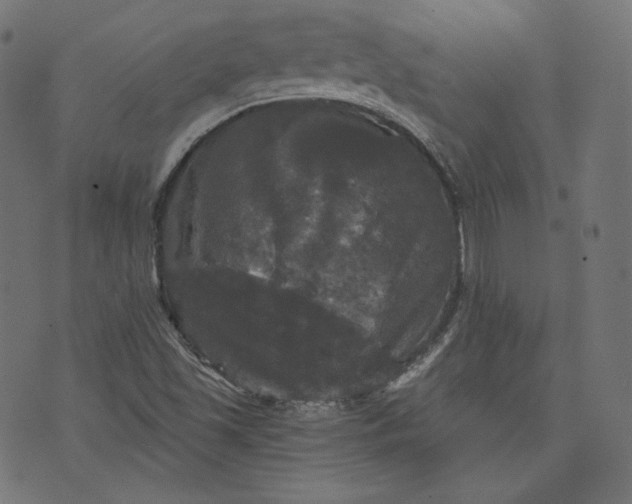 X0000070341501200606231519