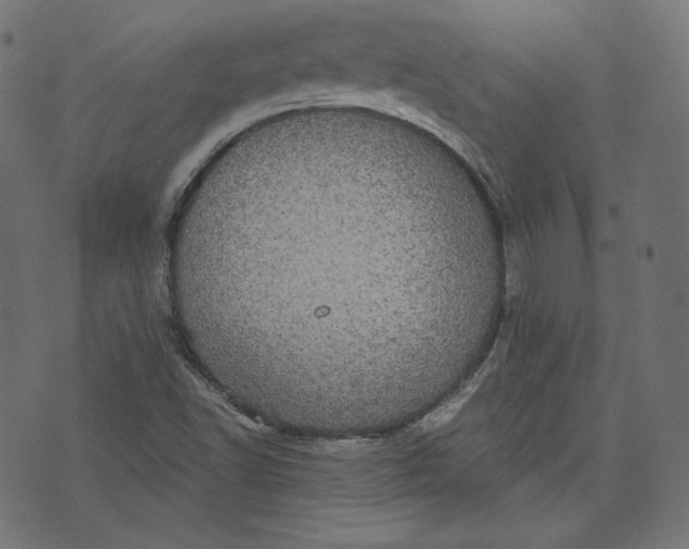 X0000070341502200606231519