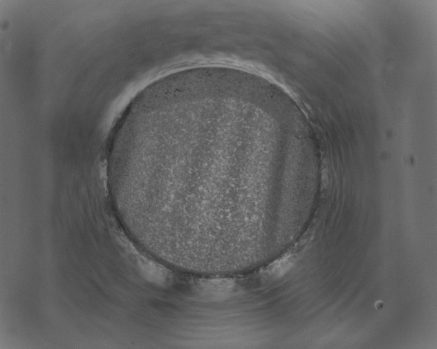 X0000070341503200606231519