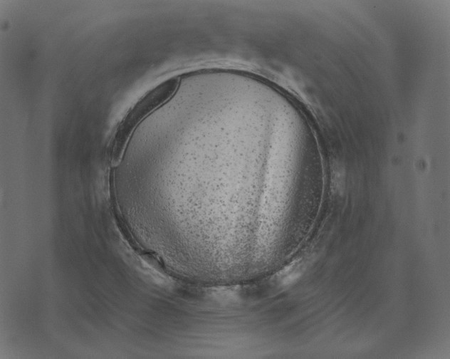 X0000070341504200606231519