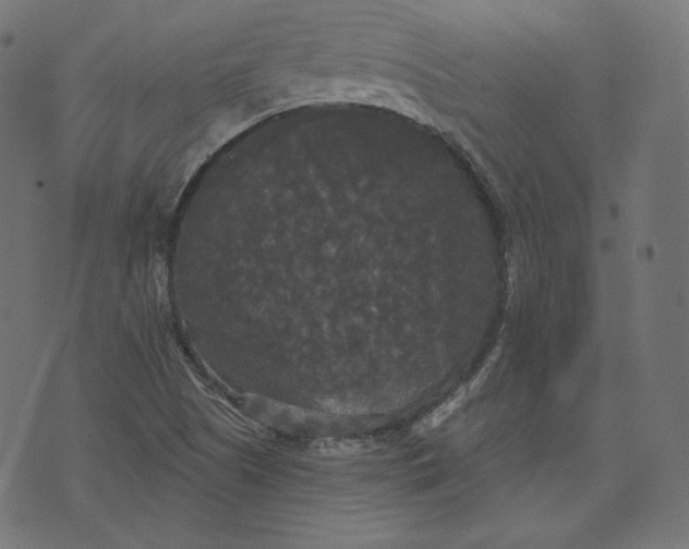 X0000070341505200606231519