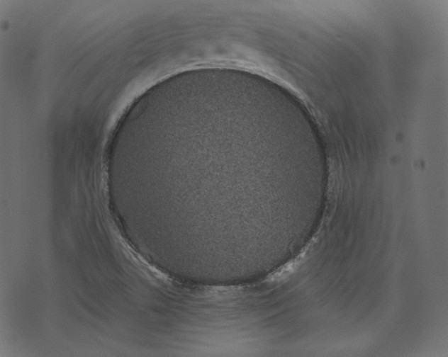 X0000070341506200606231519