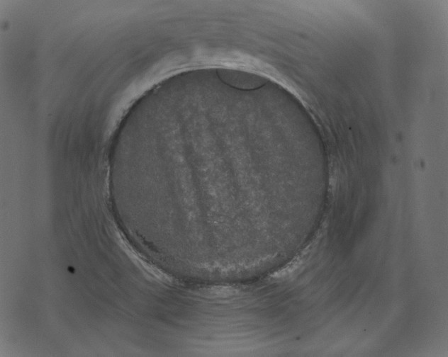 X0000070341507200606231519