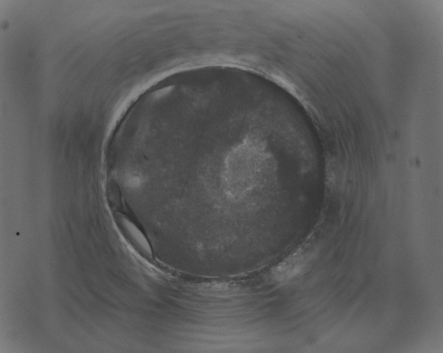 X0000070341508200606231519