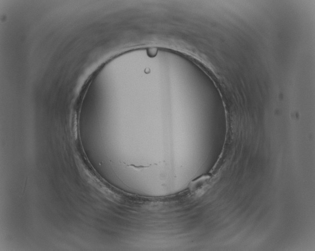 X0000070341510200606231519