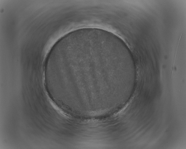 X0000070341511200606231519