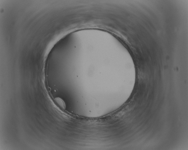 X0000070341512200606231519