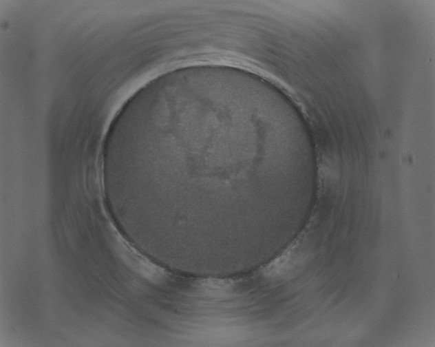 X0000070341514200606231519