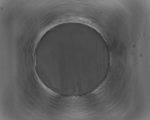 X0000070341515200606231519