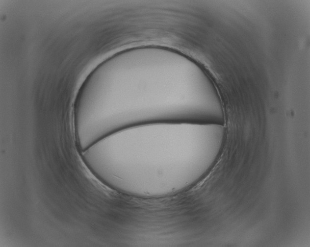 X0000070341516200606231519