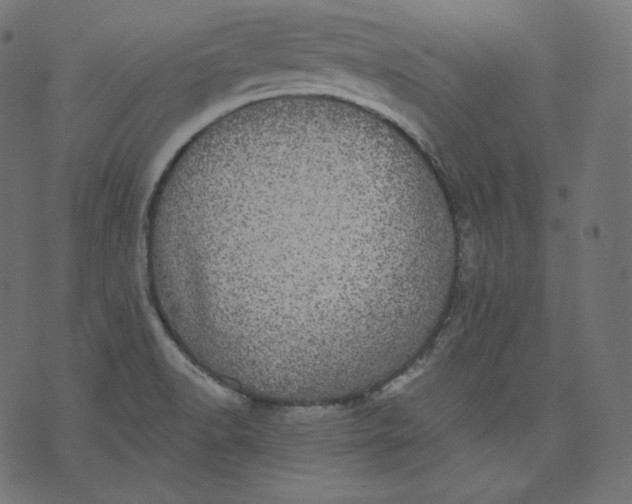 X0000070341518200606231519