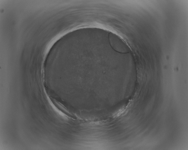 X0000070341519200606231519