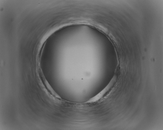 X0000070341520200606231519