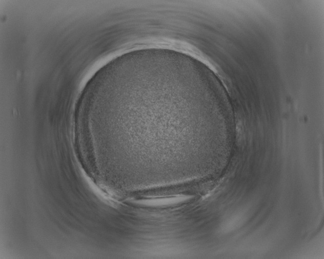 X0000070341523200606231519