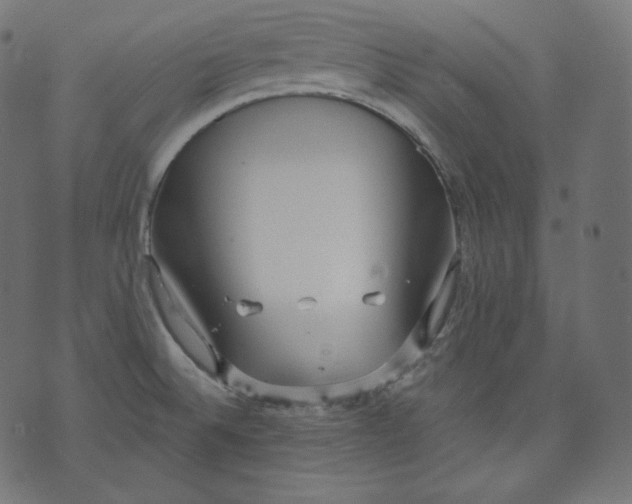 X0000070341524200606231519