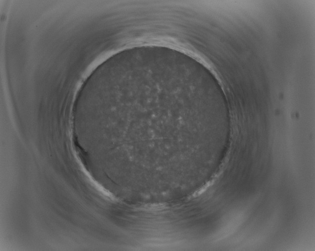 X0000070341525200606231519