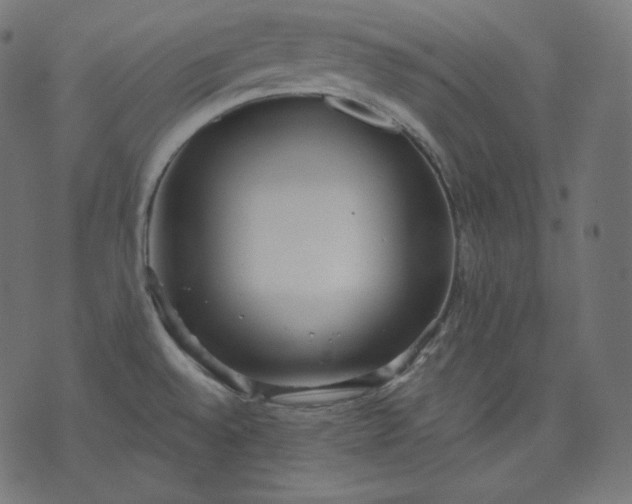 X0000070341528200606231519