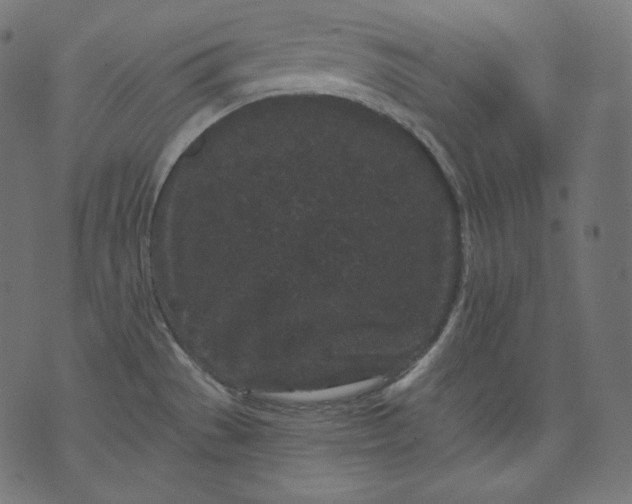 X0000070341529200606231519