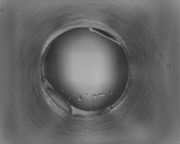 X0000070341530200606231519