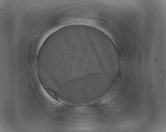 X0000070341531200606231520