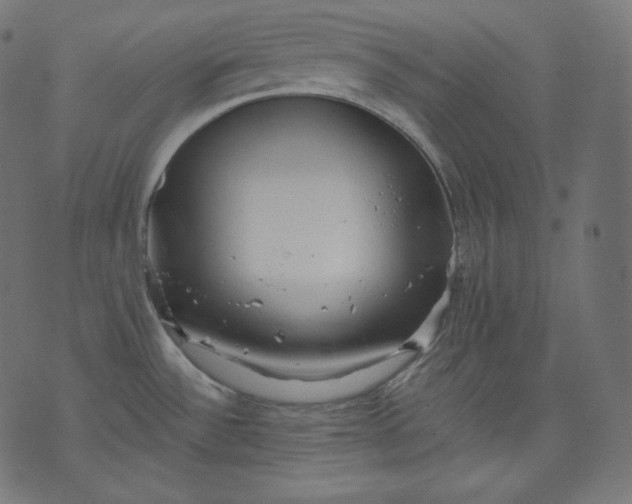 X0000070341532200606231520