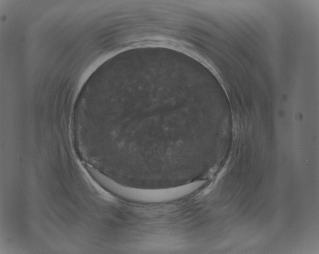 X0000070341533200606231520