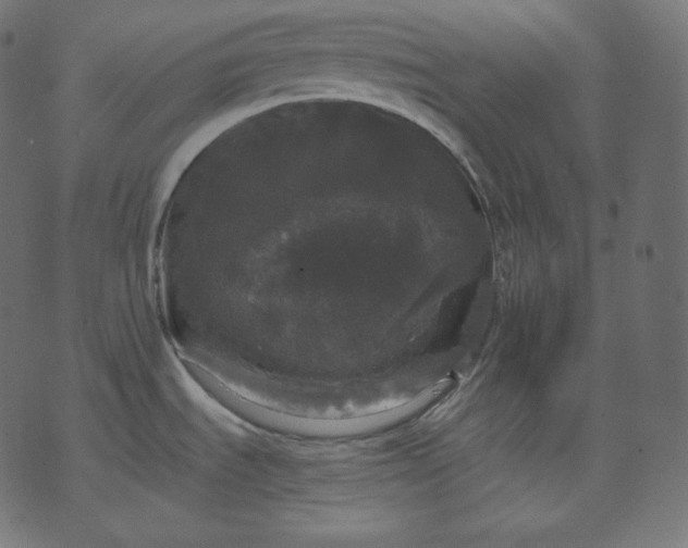 X0000070341535200606231520