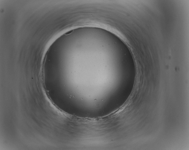 X0000070341536200606231520