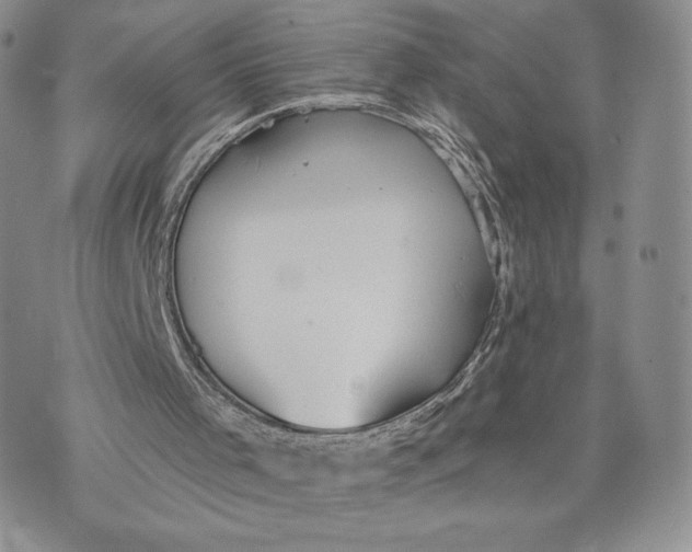 X0000070340001200606301752