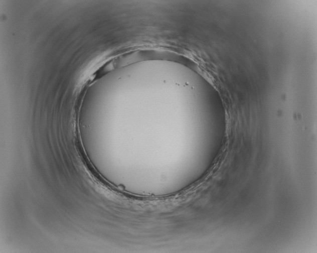 X0000070340005200606301752