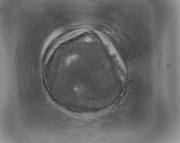 X0000070340006200606301752