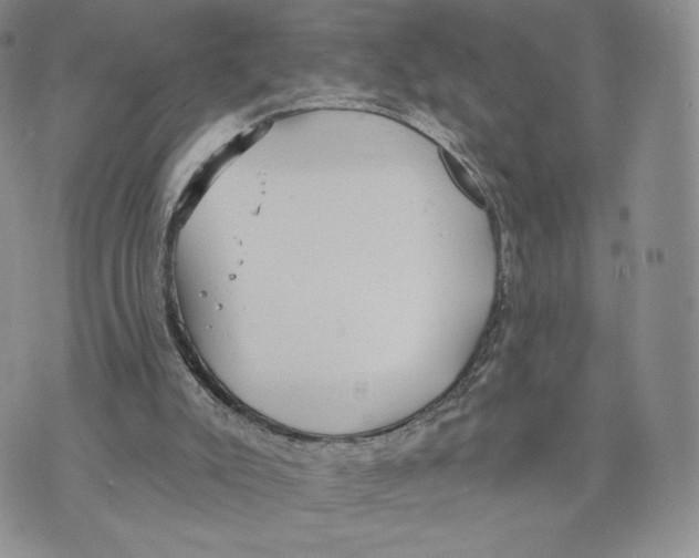 X0000070340007200606301752