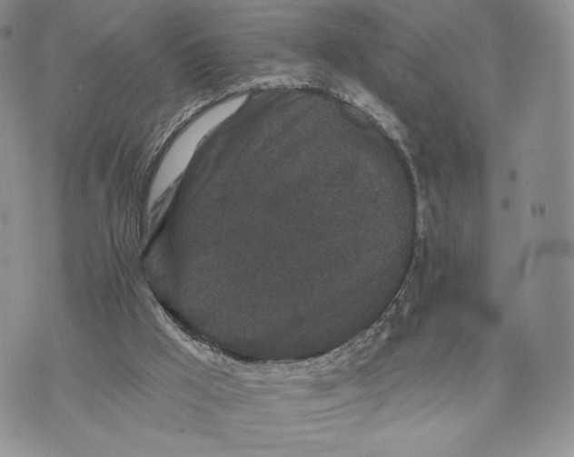 X0000070340009200606301752