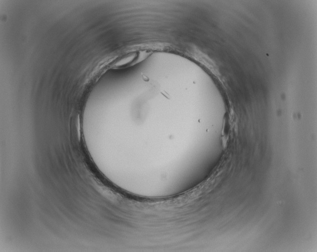 X0000070340013200606301752