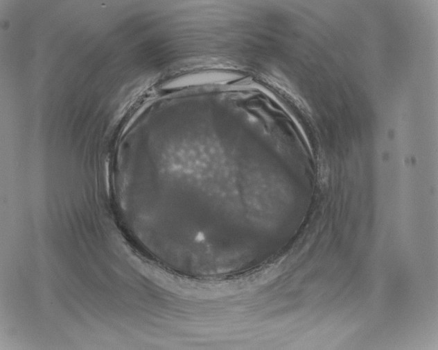 X0000070340014200606301752